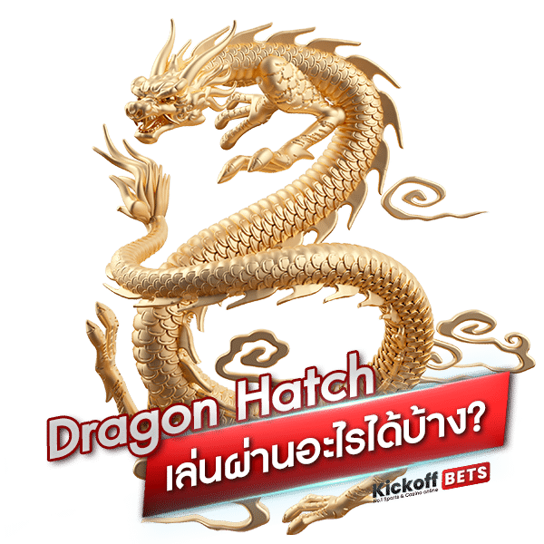 Dragon Hatch สามารถเล่นผ่านอะไรได้บ้าง _