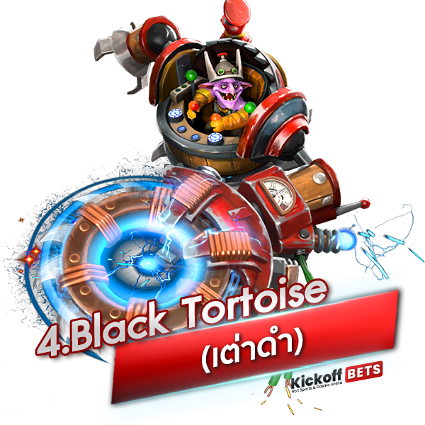 4. Black Tortoise (เต่าดำ)