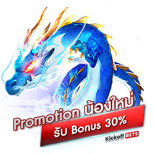 Promotion น้องใหม่รับ Bonus 30_